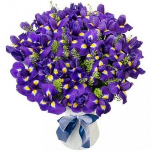 Букет Ирисов ― Floristik — доставка цветов по всей Украине