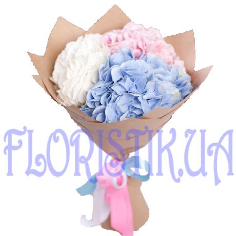 Букет из гортензий ― Floristik — flower delivery all over Ukraine