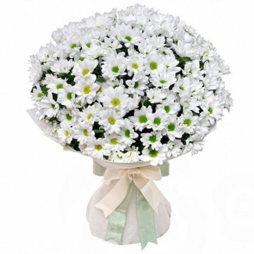 Букет 51 біла хризантема ― Floristik — доставка квітів по всій Україні