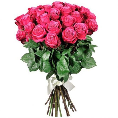 25 роз Pink Floyd ― Floristik — доставка цветов по всей Украине