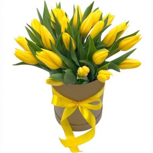 Коробка 19 желтых  тюльпанов ― Floristik — доставка цветов по всей Украине