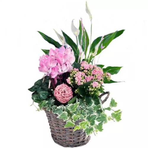 Корзинка Микс ― Floristik — flower delivery all over Ukraine