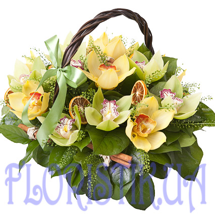 Кошик цитрусова орхідея ― Floristik — доставка квітів по всій Україні