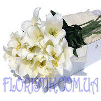 Белые лилии. Купить Белые лилии в интернет-магазине Флористик
