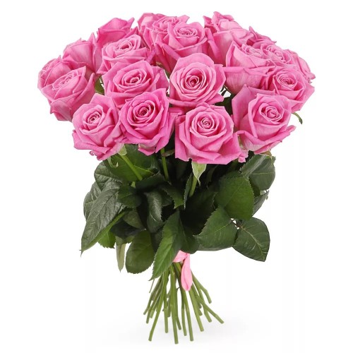 19 розовых роз. Купить 19 розовых роз в интернет-магазине Флористик