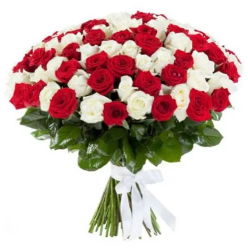 101 бело-красная роза. Купить 101 бело-красная роза в интернет-магазине Флористик