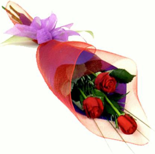3 бордовые розы. Купить 3 бордовые розы в интернет-магазине Флористик
