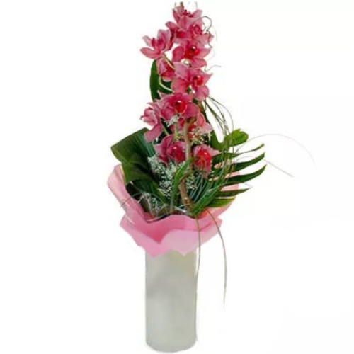 Рожева орхідея. Купити Рожеву орхідею у інтернет-магазині квітів Флористик