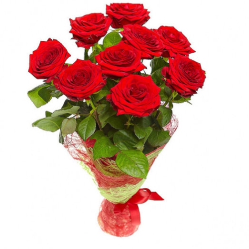 9 красных роз. Купить 9 красных роз в интернет-магазине Флористик