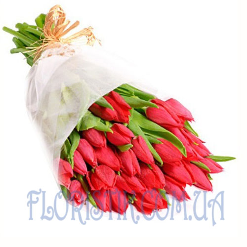 35 червоних тюльпанів. Купити 35 червоних тюльпанів у інтернет-магазині Флористик