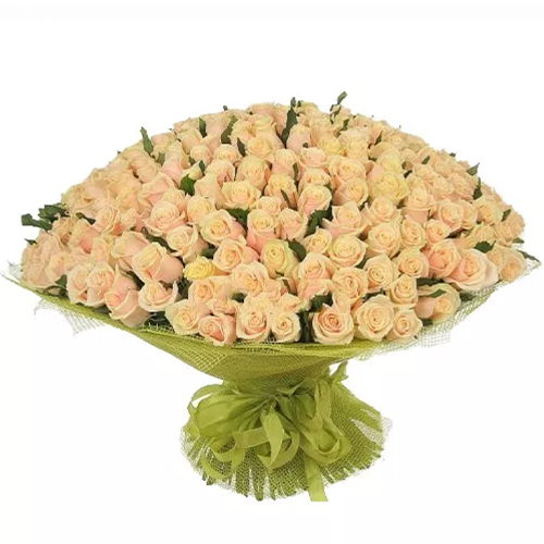 Букет из 301 кремовой розы в интернет-магазине Флористик