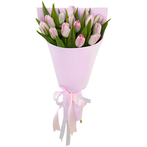 11 розовых тюльпанов. Купить 11 розовых тюльпанов в интернет-магазине Флористик