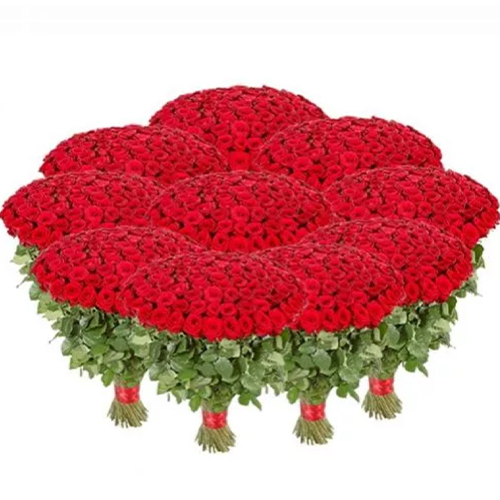 1001 роза. Купить 1001 роза в интернет-магазине Флористик
