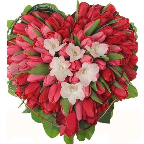Сердце алых тюльпанов. Купить Сердце алых тюльпанов в интернет-магазине Флористик