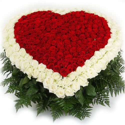 Сердце из 201 розы. Купить Сердце из 201 розы в интернет-магазине Флористик