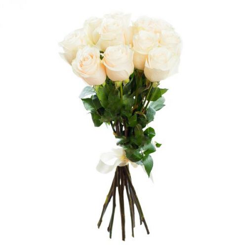 11 кремовых роз. Купить 11 кремовых роз в интернет-магазине Флористик