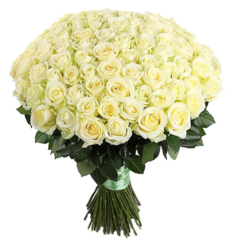 175 белых роз. Купить 175 белых роз в интернет-магазине Флористик