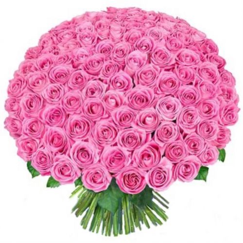 155 розовых роз. Купить 155 розовых роз в интернет-магазине Флористик