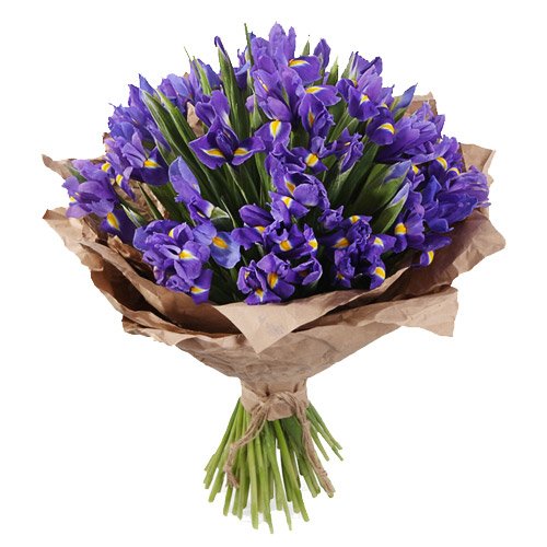 Букет 75 ірисів ― Floristik — доставка квітів по всій Україні