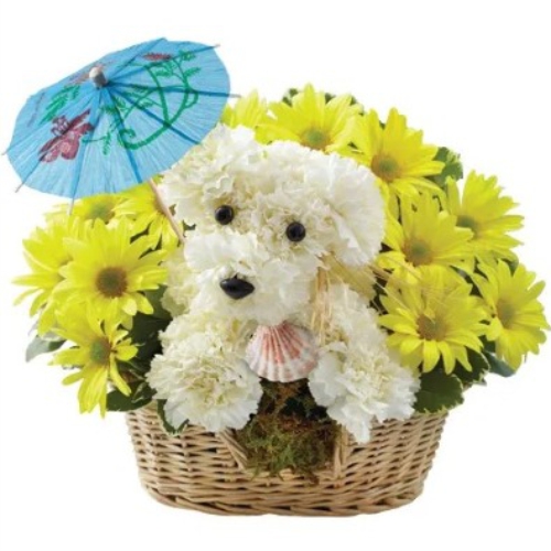Песик з парасолями ― Floristik — доставка квітів по всій Україні
