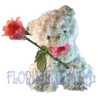 Ласковый котенок ― Floristik — flower delivery all over Ukraine