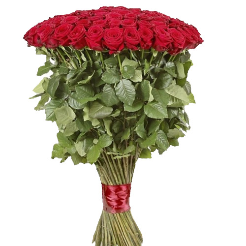 55 метровых роз ― Floristik — flower delivery all over Ukraine
