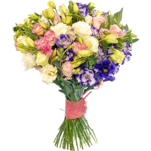 Микс эустом ― Floristik — доставка цветов по всей Украине
