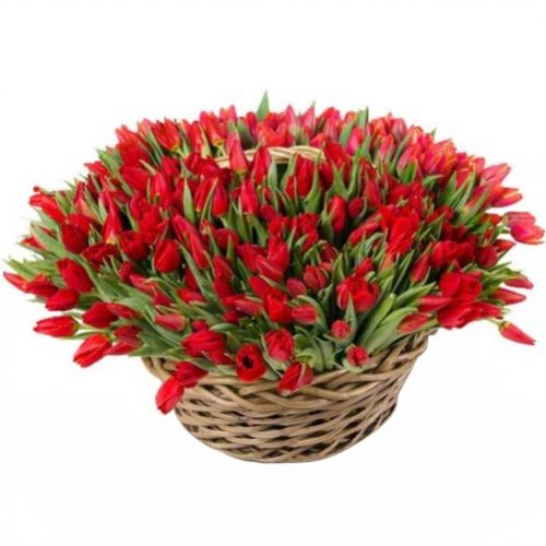 Корзина 155 тюльпанов ― Floristik — flower delivery all over Ukraine