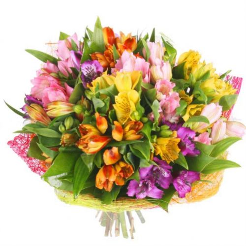Риф ― Floristik — flower delivery all over Ukraine