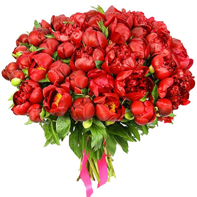 Букет из 51 красных пионов ― Floristik — доставка цветов по всей Украине