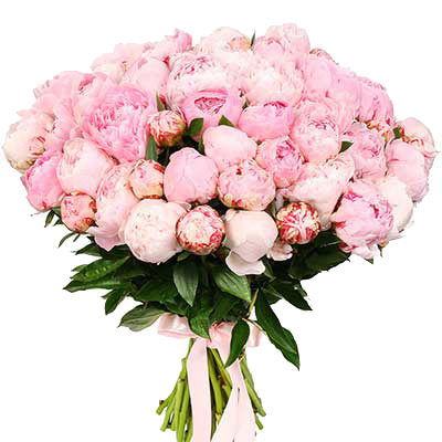 Облако из  пионов ― Floristik — flower delivery all over Ukraine