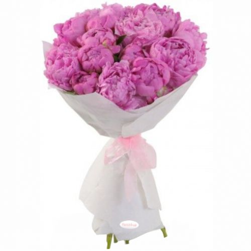 Букет пионов ― Floristik — flower delivery all over Ukraine