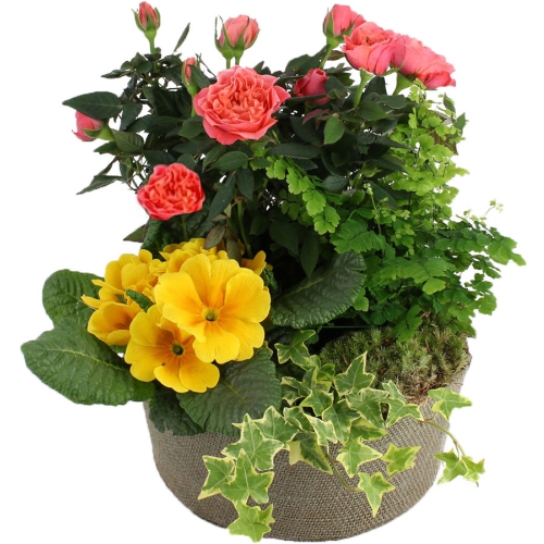 Корзина из цветов №2 ― Floristik — доставка цветов по всей Украине