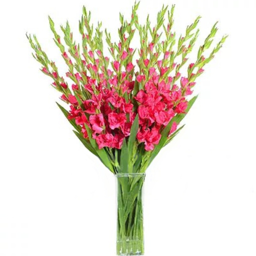 Цвет топаза ― Floristik — доставка цветов по всей Украине
