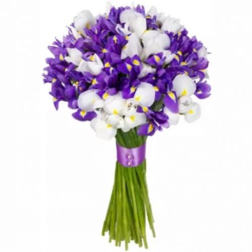 Букет Синє озеро ― Floristik — flower delivery all over Ukraine