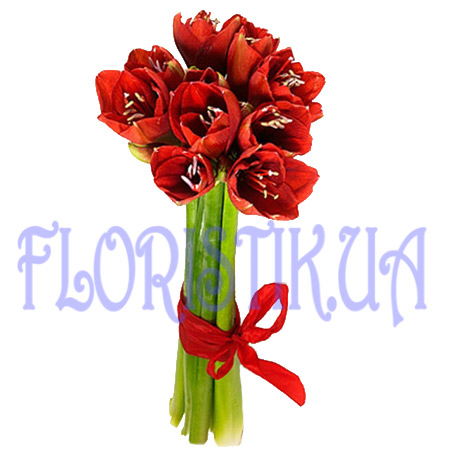 Букет амариллис ― Floristik — flower delivery all over Ukraine