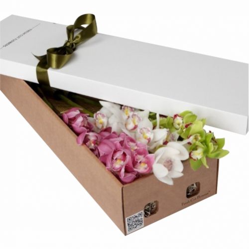 Коробка орхидей. Купить Коробку орхидей в интернет-магазине Флористик