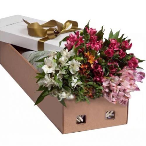 Коробка з 11 альстромерій ― Floristik — доставка квітів по всій Україні