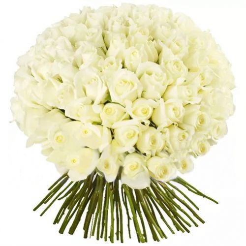 Букет из 75 голландских роз ― Floristik — доставка цветов по всей Украине
