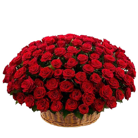 Корзина 177 красных роз ― Floristik — доставка цветов по всей Украине