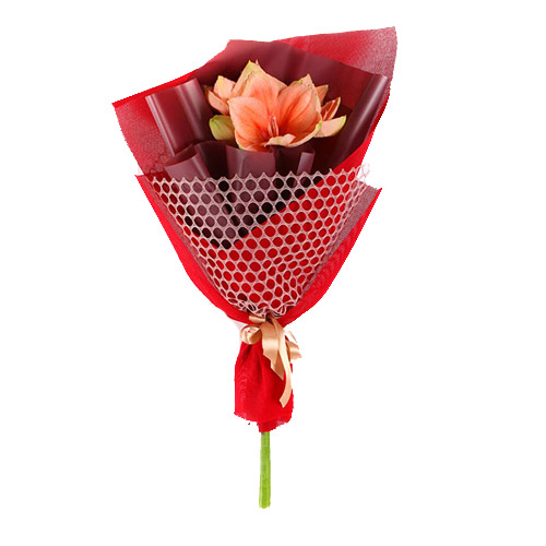 Букет краски амариллиса ― Floristik — flower delivery all over Ukraine
