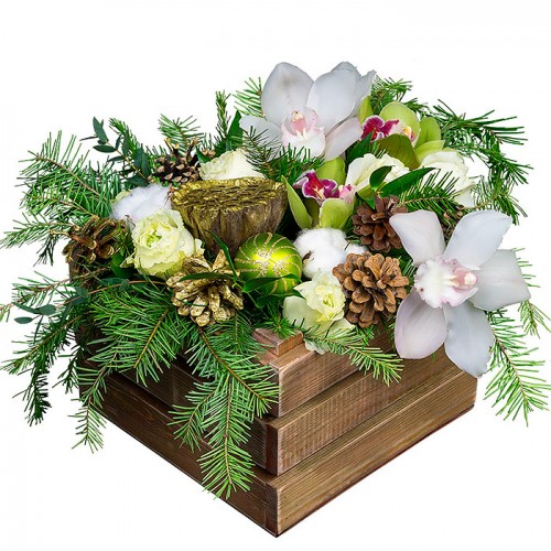 Корзина цитрусовая орхидея ― Floristik — доставка цветов по всей Украине