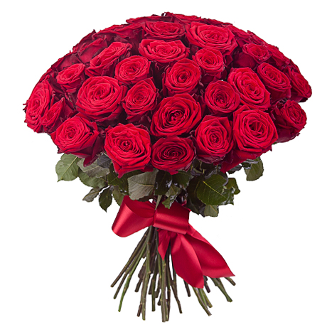51 красная роза ― Floristik — доставка цветов по всей Украине