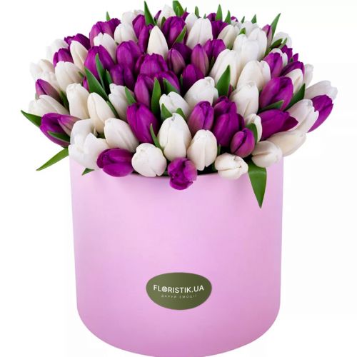 Квіти в коробці &#039;&#039;101 бузковий та білий тюльпан &quot; ― Floristik — flower delivery all over Ukraine