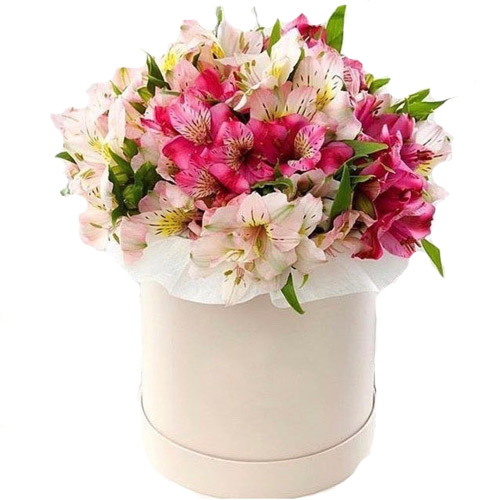Коробка 15 альстромерій ― Floristik — доставка квітів по всій Україні