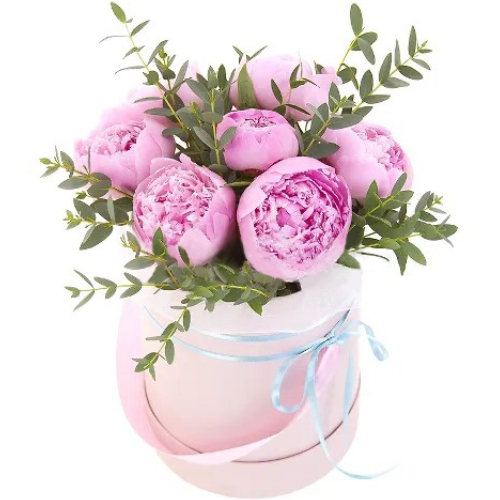 Коробка с пионами ― Floristik — доставка цветов по всей Украине