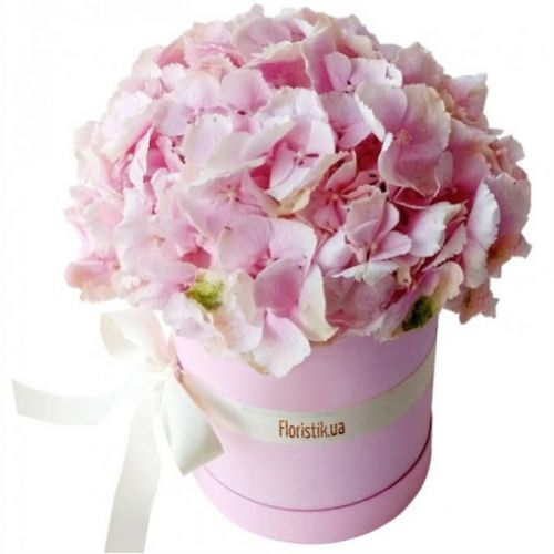 Коробка зефірна гортензія ― Floristik — доставка квітів по всій Україні