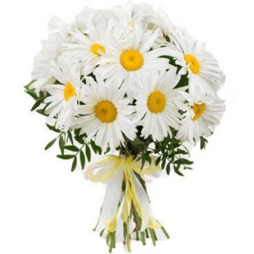 Букет из 19 ромашек ― Floristik — flower delivery all over Ukraine