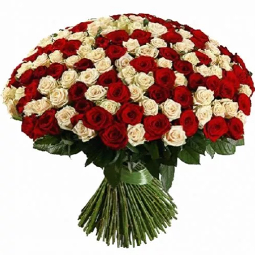 Букет 251 роза ― Floristik — доставка цветов по всей Украине