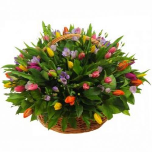 Кошик тюльпанів і фрезій ― Floristik — flower delivery all over Ukraine